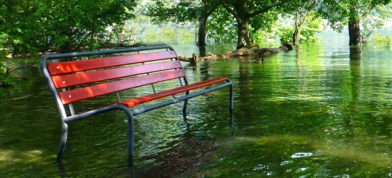 Jobsuchende leisten in NÖ Hilfe bei Aufräumarbeiten nach dem Hochwasser